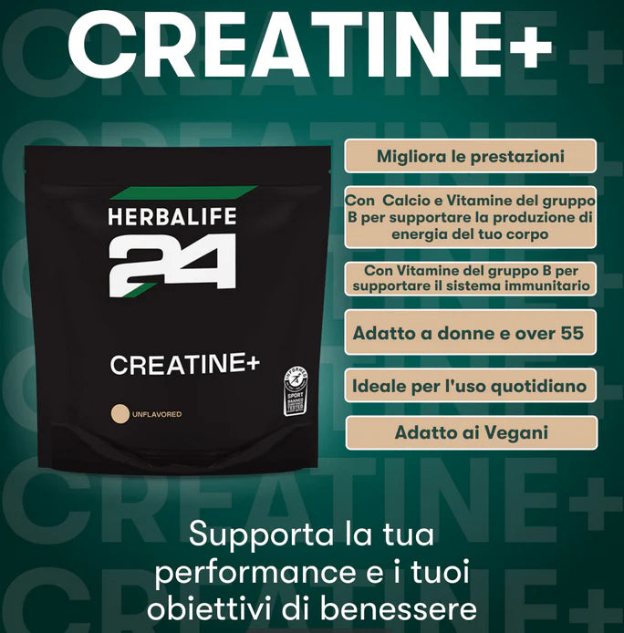 H24 Creatine+